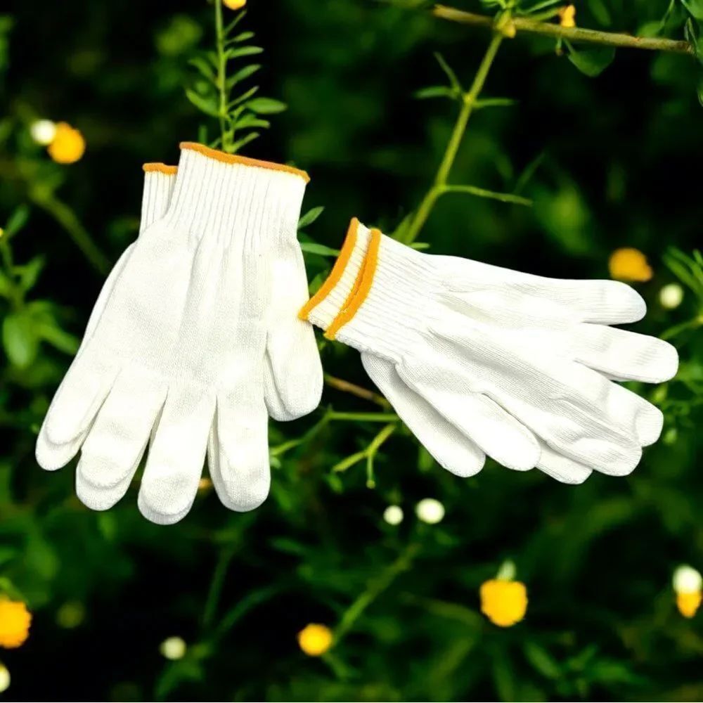 2 pair Gloves l All-purpose l White w/ Gold trim l New